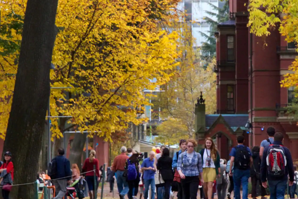 People walking along a university campus surrounded by trees
